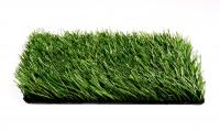 ������������� ����� ��Grass Libra