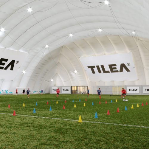 ��������� ����� TILEA® ��������������