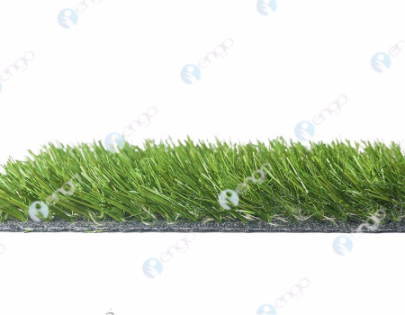 ������������� ����� GreenFields DT Pro