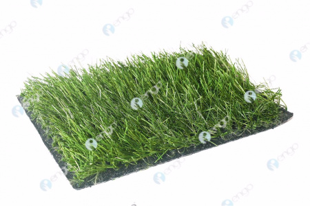 ������������� ����� GreenFields DT Pro